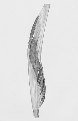 Silver Phallic membership