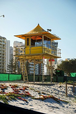 Gold membership ship (Goldcoast is best pervy place to be in Australia)